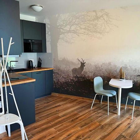 Horsky Apartman Klinovecke Louky 120-4 Loučná pod Klínovcem エクステリア 写真