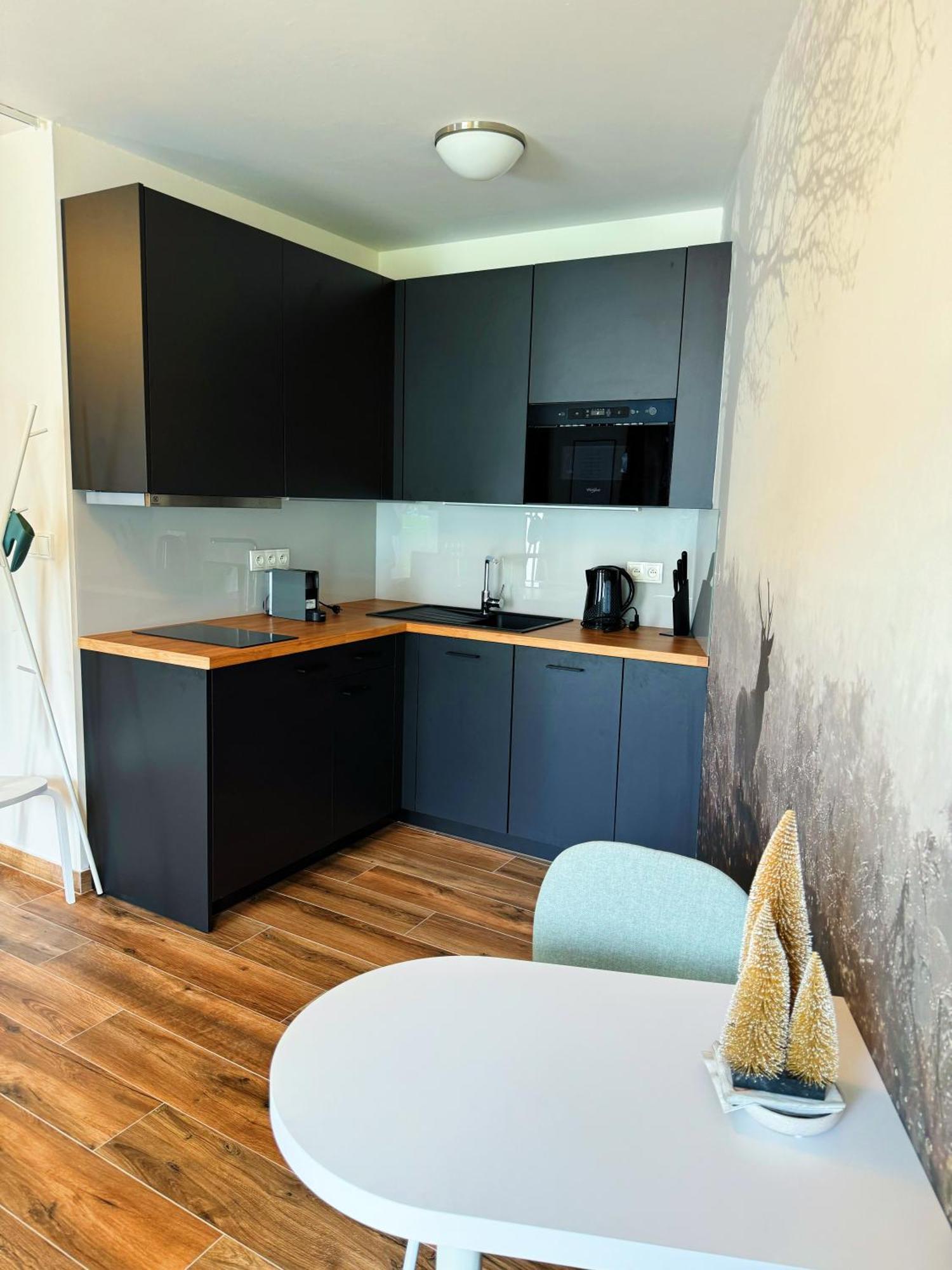 Horsky Apartman Klinovecke Louky 120-4 Loučná pod Klínovcem エクステリア 写真